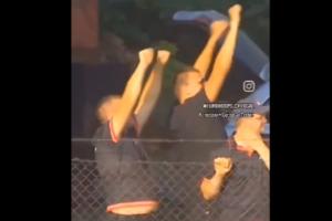 ????約基奇賽馬贏了 比NBA奪冠還興奮！