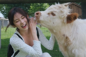 媒體人蛋寶：因?yàn)闂铄?越來(lái)越多中國(guó)球迷又重新關(guān)注籃球