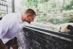 都是大胖小子??約基奇中國行成都站怎能不看熊貓??出來投兩個