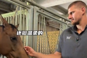 約老師看到馬就滿眼寵溺 與濮老師和于老師暢聊對馬對生活的熱愛