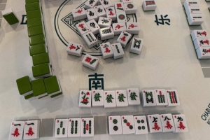 學(xué)習(xí)國(guó)粹！瓦妮莎打起了麻將 這麻將還是外國(guó)特供版