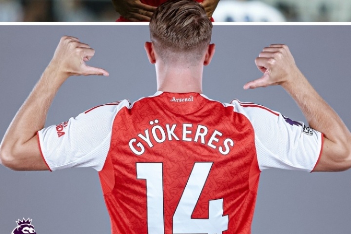 傳奇號(hào)碼??阿森納歷任14號(hào)：亨利&小老虎&美羊羊，約克雷斯接棒