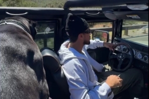 單身狗？布克駕駛悍馬出游 只有狗狗陪伴左右