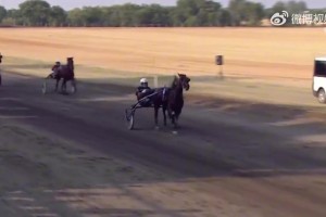 比拿冠軍還高興??！約老師看到自己的賽馬沖線獲勝激動揮舞雙臂