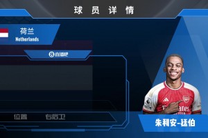 卡拉菲奧里球員集錦：身材高大 腳頭頗硬的邊后衛(wèi)