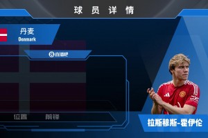 霍伊倫球員集錦：丹麥前鋒 球場上的拼命三郎