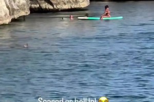 ??騎士管理層心頭一驚！米切爾海邊玩耍從數(shù)米高跳進海里