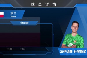 什琴斯尼集錦：經(jīng)驗豐富&擅于指揮防線，撲救依然世界級