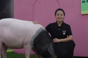 克里斯蒂前年拿到季中賽50萬(wàn)美金時(shí)表示：要存起來(lái)，以后買衣服