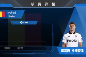 卡斯塔涅球員集錦：足球場的永動(dòng)機(jī) 體能充沛的邊后衛(wèi)