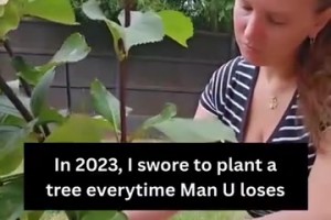 外網(wǎng)視頻惡搞：曼聯(lián)球迷從23年開始，只要曼聯(lián)輸球就種一棵樹……